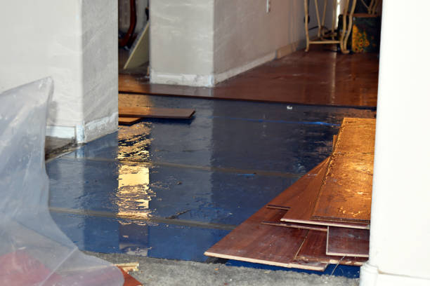 Professional Sewage Cleanup technician working in Amboy, IL